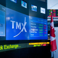 The group seeking control of the Toronto Stock Exchange is dominated by large Canadian banks.