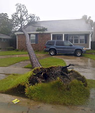 An uprooted tree rests on a house as Hurricane Isaac passes through New Orleans.