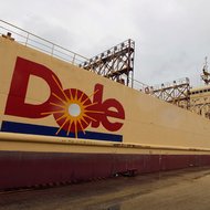 A vessel transporting containers with boxes of bananas is anchored in Guayaquil, Ecuador.