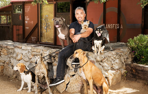 Cesar Millan, the star of the “Dog Whisperer” television series, is planning an extensive celebrity branding campaign in China.