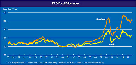 Global food prices have been highly volatile in recent years.