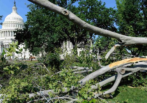 Trees littered the east lawn of the Capitol in Washington