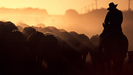 A farmer rides his horse as he herds his cattle towards stockyards near the outback Queensland town of Aramac, west of Brisbane, Australia © David Gray